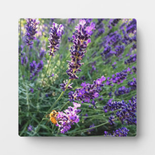 Plaque Photo Abeille et lavande