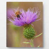 Plaque Photo Abeille Occupée Sur Chardon Violet (Devant)