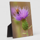 Plaque Photo Abeille Occupée Sur Chardon Violet (Côté)