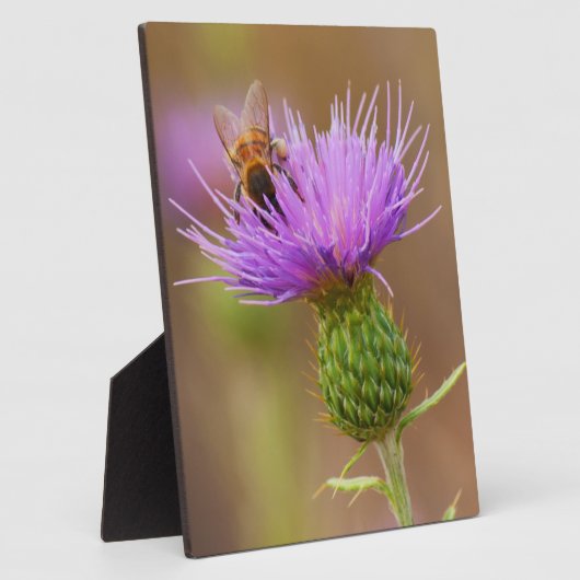 Plaque Photo Abeille Occupée Sur Chardon Violet (Côté)