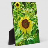 Plaque Photo Abeille sur tournesol jaune (Côté)