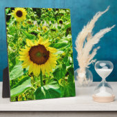 Plaque Photo Abeille sur tournesol jaune (Côté)
