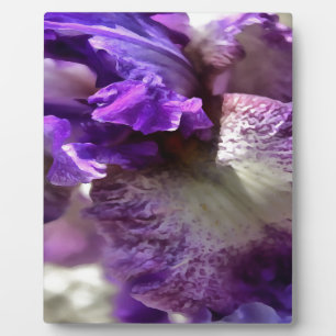 Plaque Photo Abstrait Striking Purple, Violet et Mauve Iris