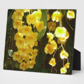 Plaque Photo Accrocher les orchidées jaunes Fleurs tropicales (Côté)