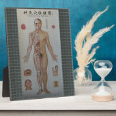 Plaque Photo Acupuncture points plein corps avant art (Côté)