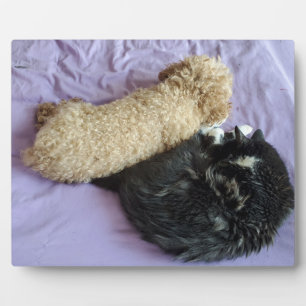 Plaque Photo Add your cute or funny Pet Photos