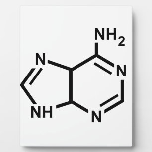 Plaque Photo Adénine