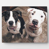 Plaque Photo adorable chiot chien (Devant)