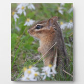 Plaque Photo Adorable Chipmunk en fleurs (Devant)