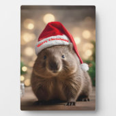 Plaque Photo adorable Noël Wombat, (Devant)