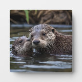 Plaque Photo **"Adrift in Love : Mummy and Baby Otter"** (Devant)