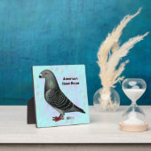 Plaque Photo Afficher l'ASR racer (Insitu)