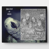 Plaque Photo African Grey Parrot Ajouter Votre Propre Photo (Devant)