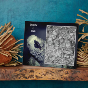 Plaque Photo African Grey Parrot Ajouter Votre Propre Photo