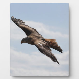Plaque Photo Aigle