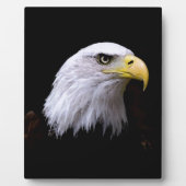 Plaque Photo Aigle (Devant)