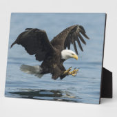 Plaque Photo Aigle en approche (Côté)