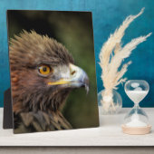 Plaque Photo aigle royal (Côté)