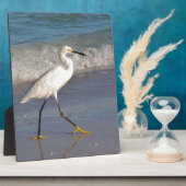 Plaque Photo Aiguille sur la plage (Côté)