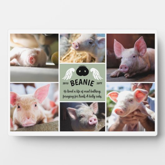 Plaque Photo Ailes vertes de sauge Collage de photos commémorat (Devant)