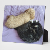 Plaque Photo Ajoutez vos photos d'animaux de compagnie mignons  (Côté)