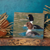 Plaque Photo Alert Goldeneye (Côté)