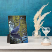 Plaque Photo Alimentation de héron dans l'étang à RHS Wisley, R (Côté)