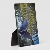 Plaque Photo Alimentation de héron dans l'étang à RHS Wisley, R (Côté)