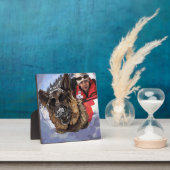 Plaque Photo Allemand Shepard Recherche et Secourt dans la neig (Insitu)