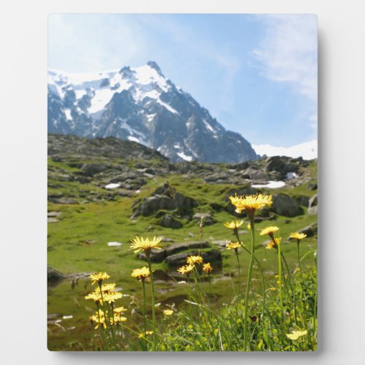 Plaque Photo Alpine flowers (Devant)