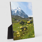 Plaque Photo Alpine flowers (Côté)