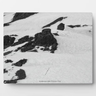 Plaque Photo Alpinistes