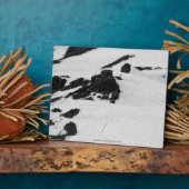 Plaque Photo Alpinistes (Côté)