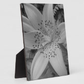 Plaque Photo American Tiger Lily (Côté)