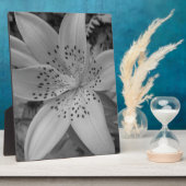Plaque Photo American Tiger Lily (Côté)
