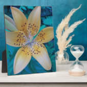 Plaque Photo American Tiger Lily (Côté)
