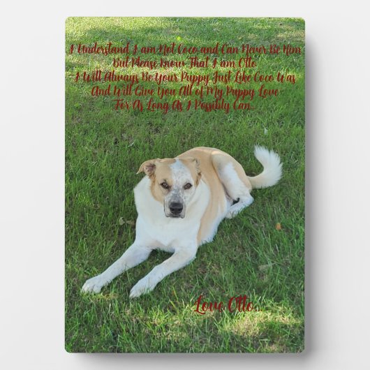 Plaque Photo Amour de chiot (Devant)
