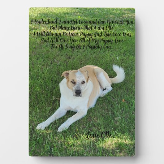 Plaque Photo Amour de chiot (Devant)