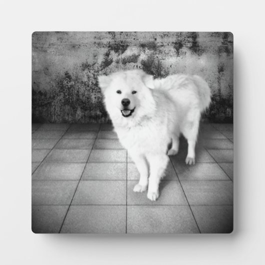 Plaque Photo Amour Fidèle (Devant)