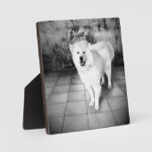 Plaque Photo Amour Fidèle (Recto)