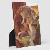 Plaque Photo Amour Koala (Côté)