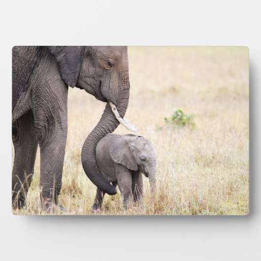 Plaque Photo Amour maternel (Devant)