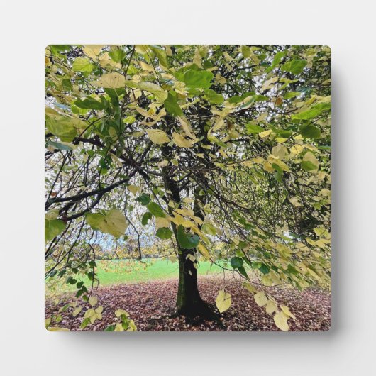 Plaque Photo An autumn walk (Devant)