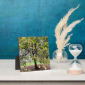 Plaque Photo An autumn walk (Insitu)