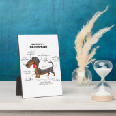 Plaque Photo Anatomie D'Un Dachshund - Drôle Chien (Côté)