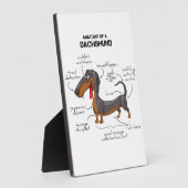 Plaque Photo Anatomie D'Un Dachshund - Drôle Chien (Côté)