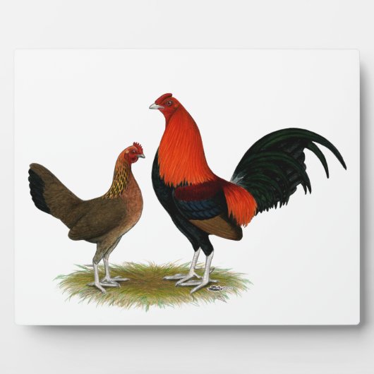 Plaque Photo Ancien jeu anglais Bantams : BB Red Pair (Devant)
