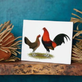 Plaque Photo Ancien jeu anglais Bantams : BB Red Pair (Côté)