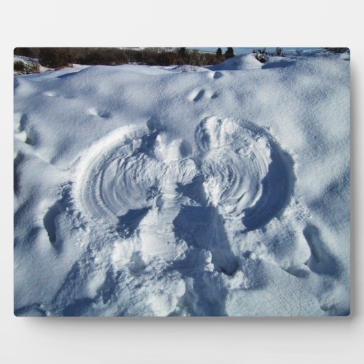 Plaque Photo Ange des neiges (Devant)