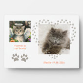 Plaque Photo Angel Cute Soft Kitten (Devant)